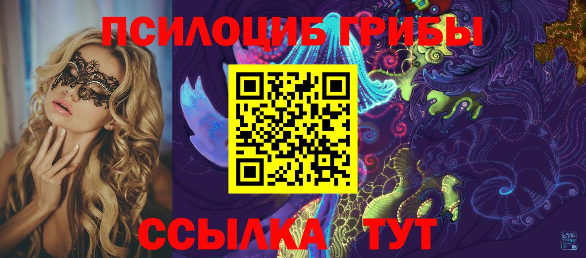 Псилоцибиновые грибы GOLDEN TEACHER Вязники