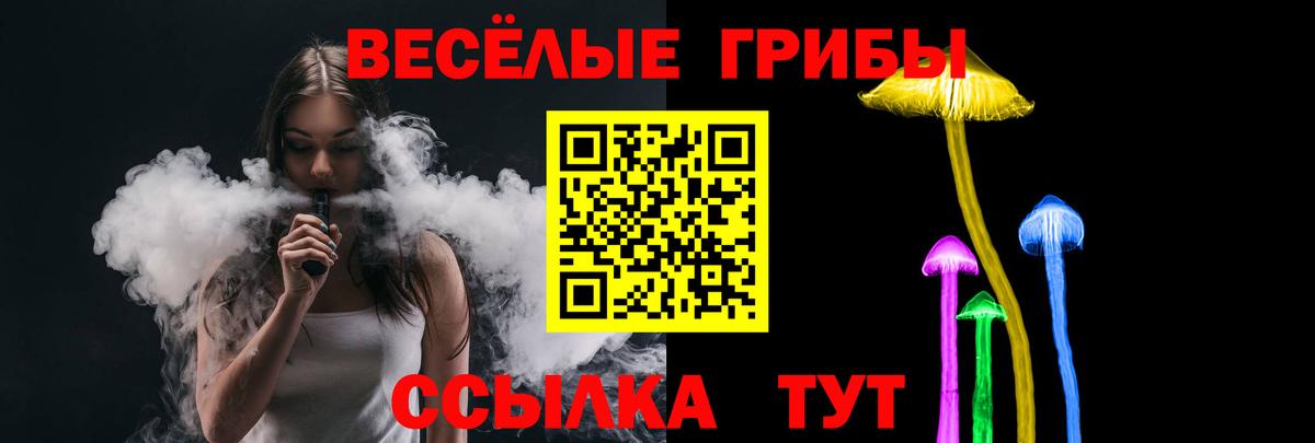 Вязники  Галлюциногенные грибы Magic Shrooms  Вход с VPN  Псилоцибиновые грибы мицелий 